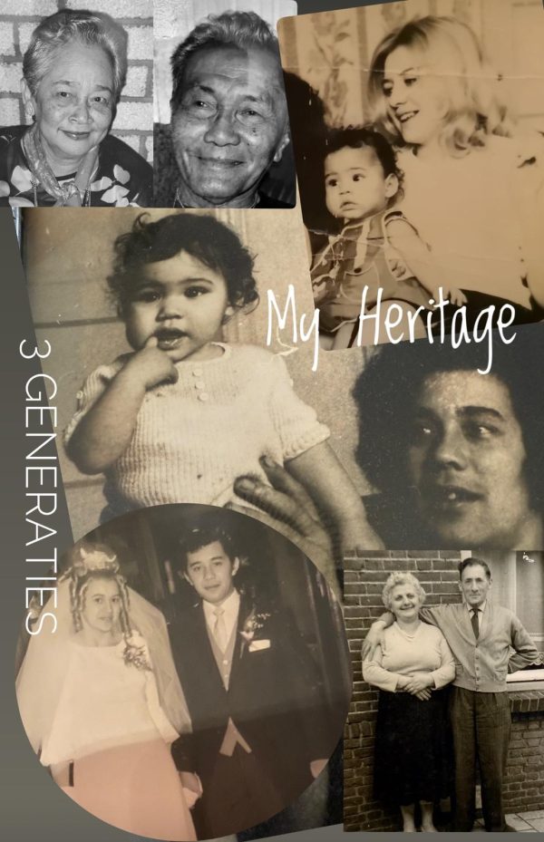 my-heritage De Oorsprongscode 4 Daagse live training