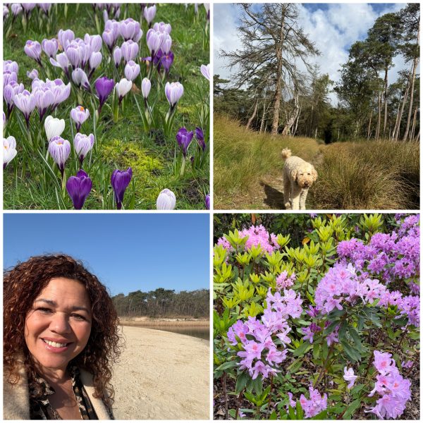 Hooikoorts  ZOOM-sessie 14 Mei