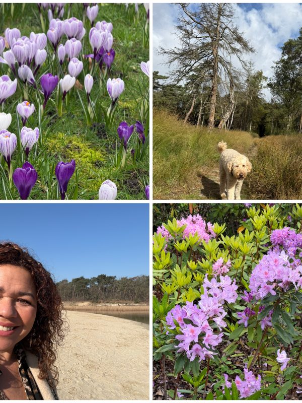Hooikoorts  ZOOM-sessie 14 Mei